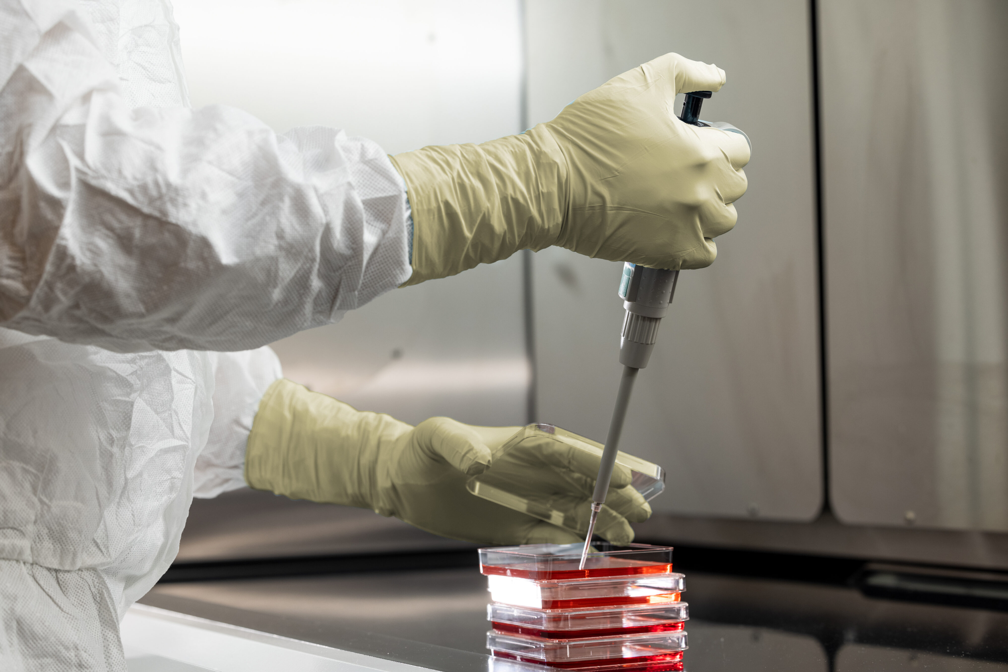 HALYARD PUREZERO HG3 Cream Sterile Latex Reinraumhandschuh